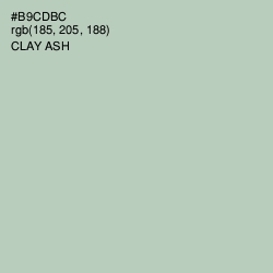 #B9CDBC - Clay Ash Color Image